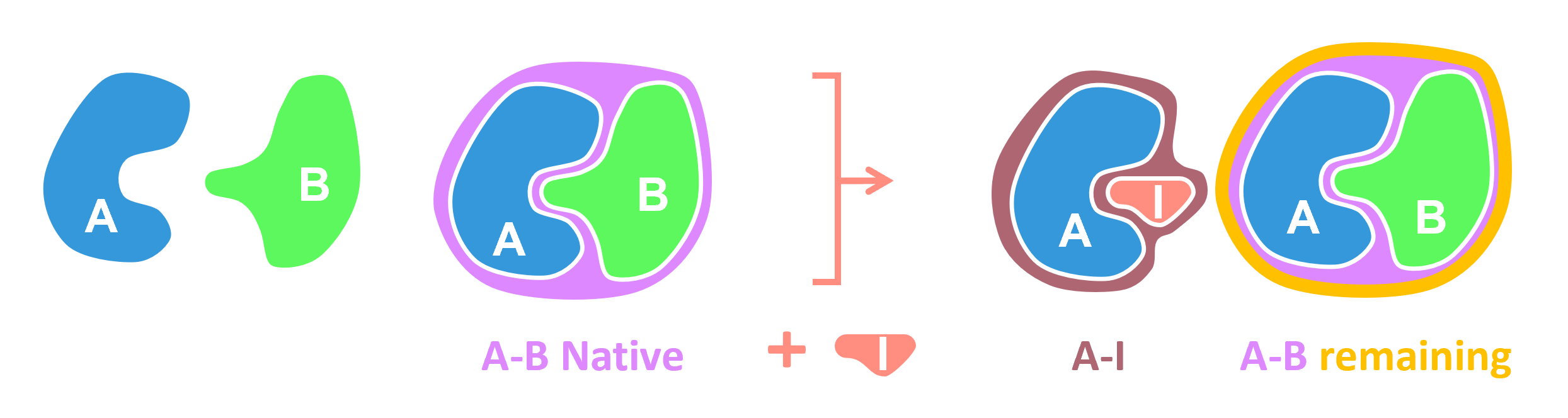 Species color template